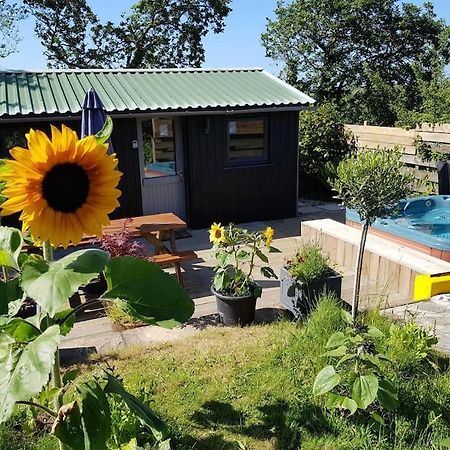 New QuayThe Old Potting Shed With Hot Tub. Colan, Newquay.アパートメント エクステリア 写真